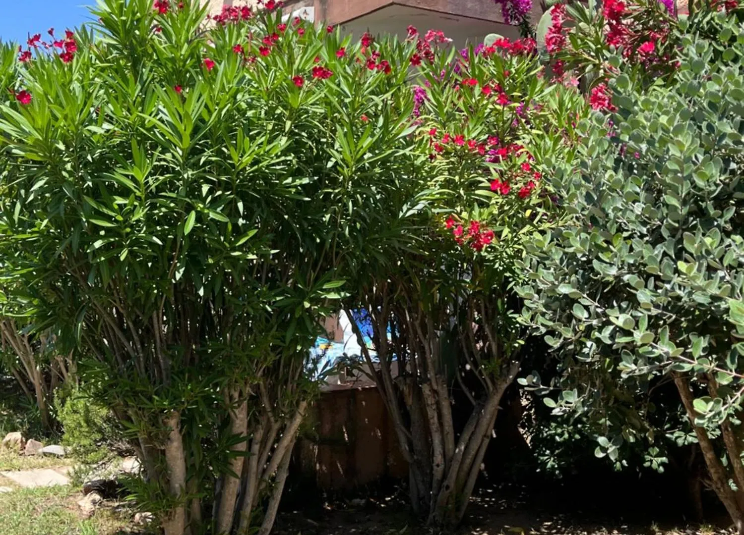 Bilocali Residenza Mediterranea Cannigione